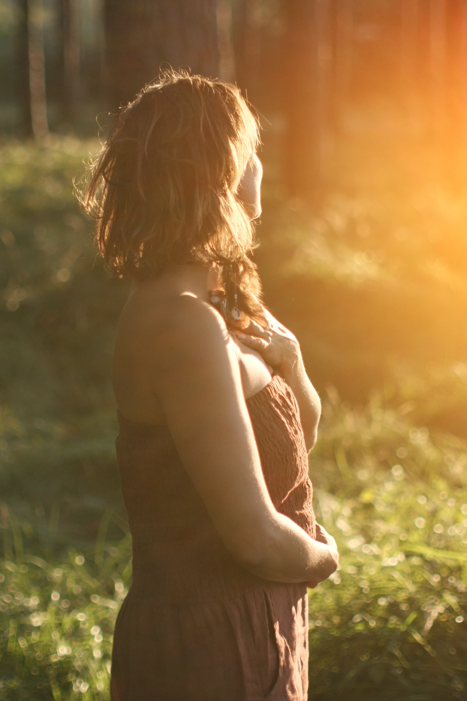 Daphne in warm avondlicht