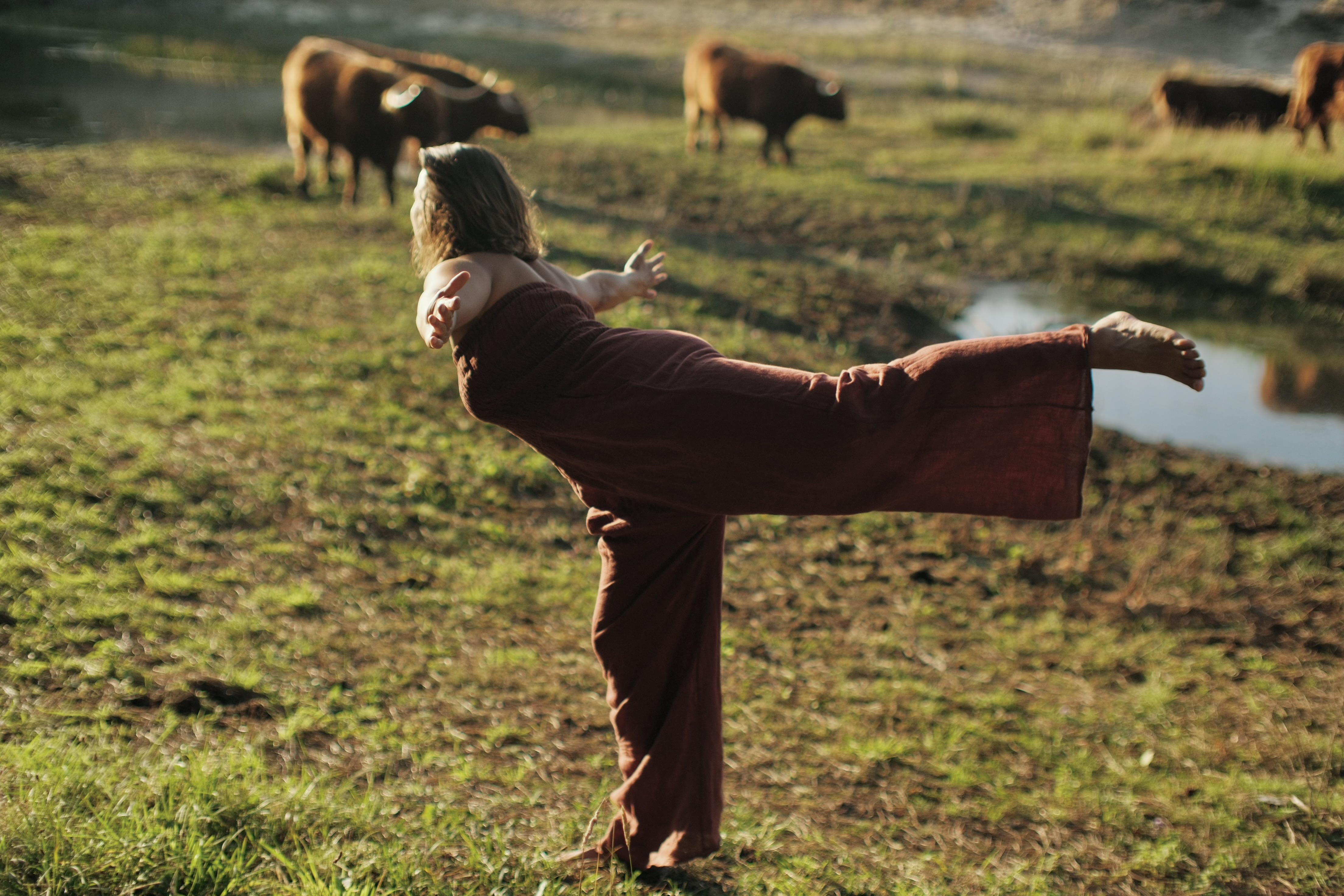 Daphne in balans in een open landschap