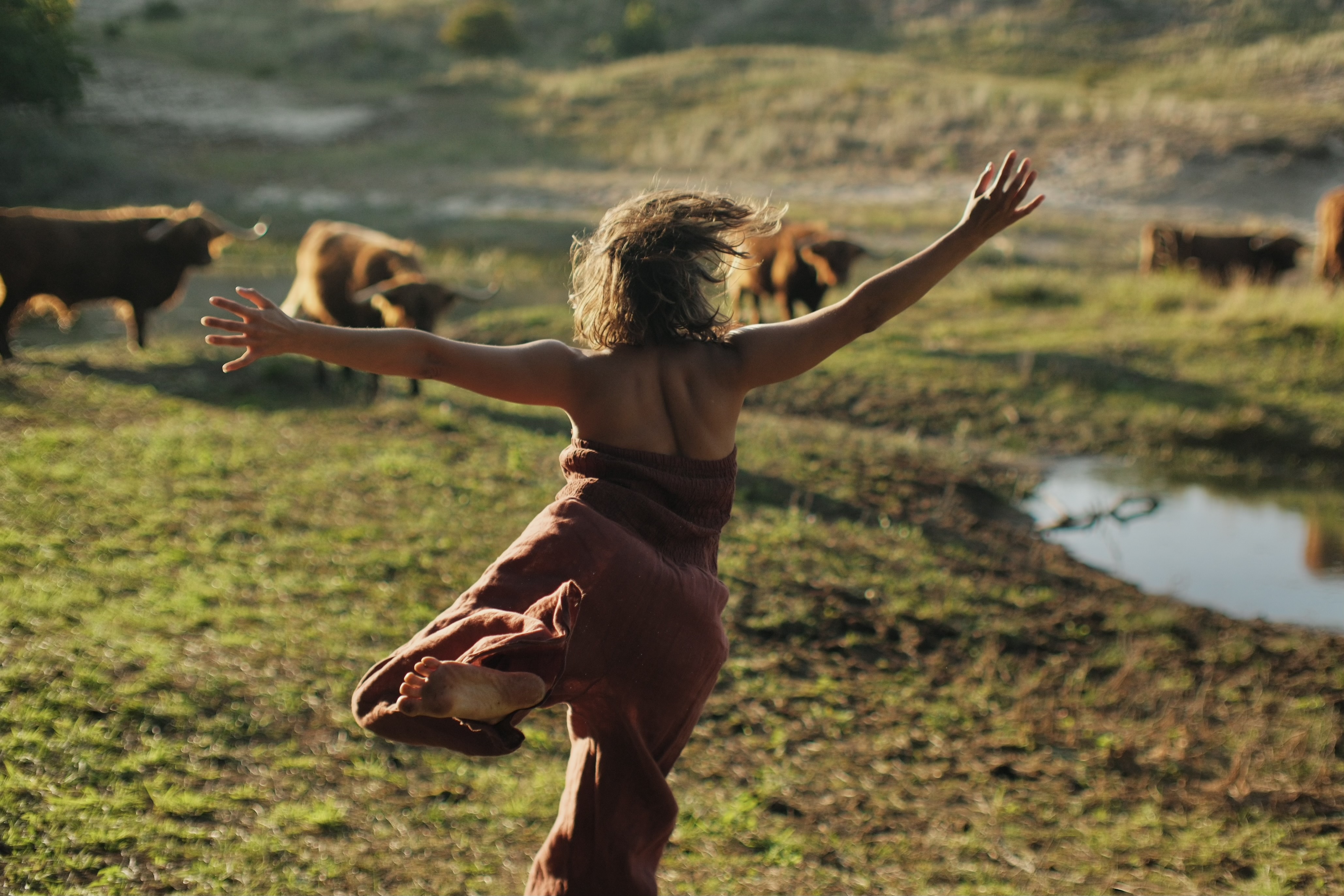 Daphne in vrije beweging in een open landschap